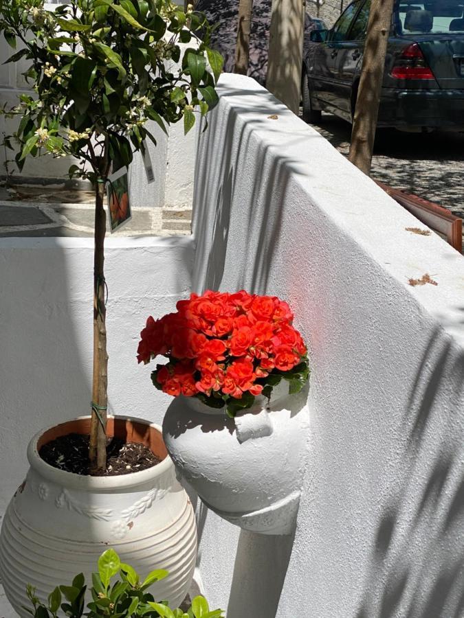 Mina House Siviri Villa Exterior photo